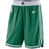 NBA Mænd Boston Celtics Shorts 2022-23 Nike Icon Edition Swingman